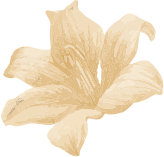 feature-flower feature-flower